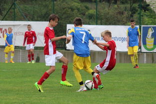 爱游戏登录入口-塞尔维亚实力不断提升，期待在国际大赛中突破